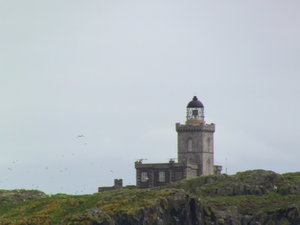 Lighthouse on Isle of May