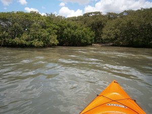 Kayaking in Boca Ciega 