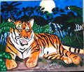 Tigre, by 13 year-old Julio Cesar