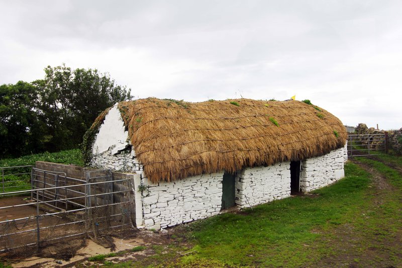 A Thatched roof