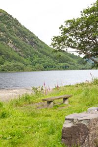 Bench at the side of Loch Awe
