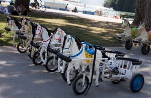 Cute little trikes for the kids 