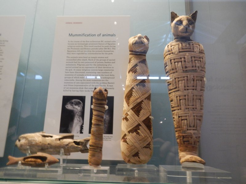 British Museum mummies
