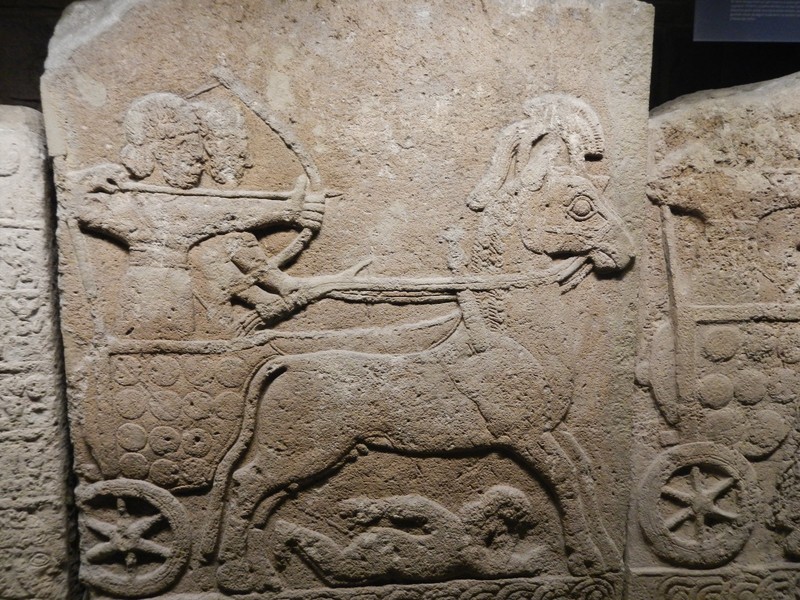 Hittite Chariots