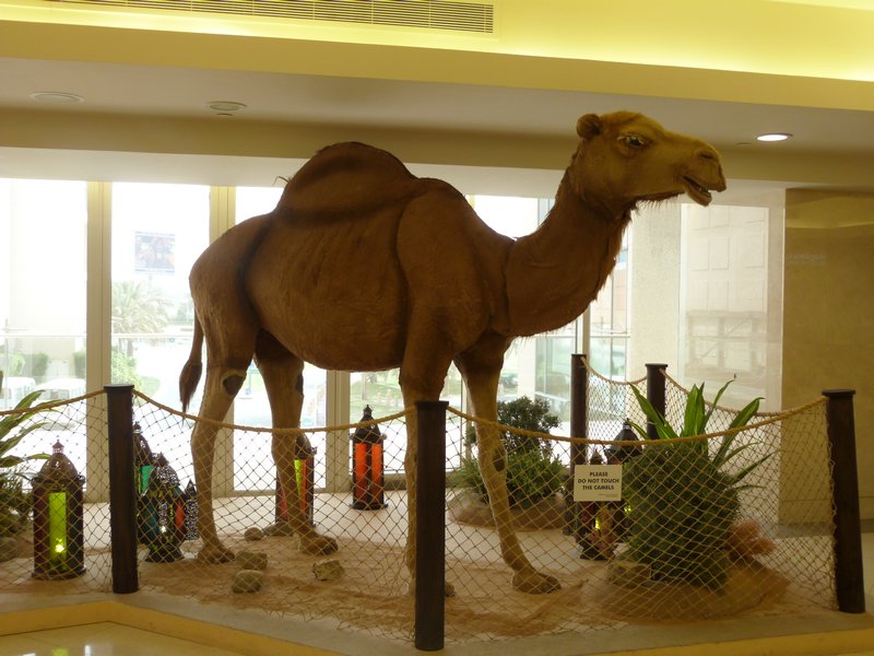 Mechanical Camel in a shopping centre