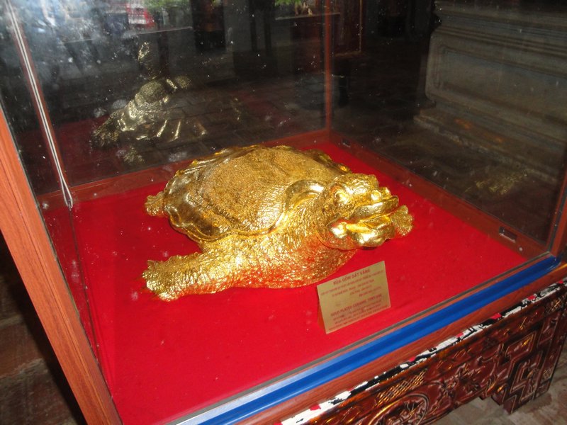 shiny golden turtle!