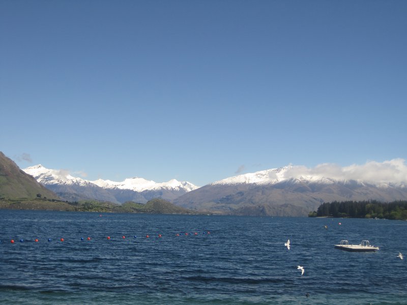 Wanaka from our bike ride