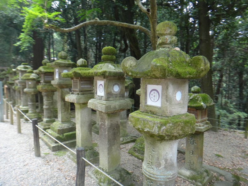 Kasuga-Taisha Shrine