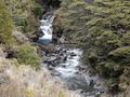Taranaki Falls Trail