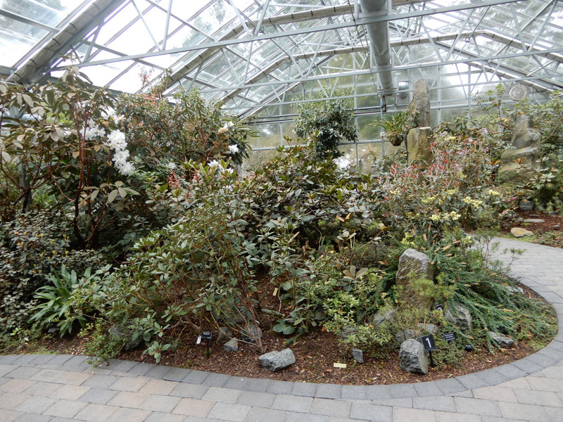 Rhododendron Botanical Garden