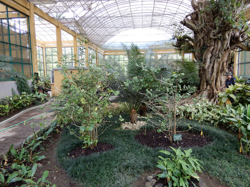 Bedugul Botanical Gardens