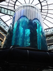 World's Tallest Cylindrical Aquarium