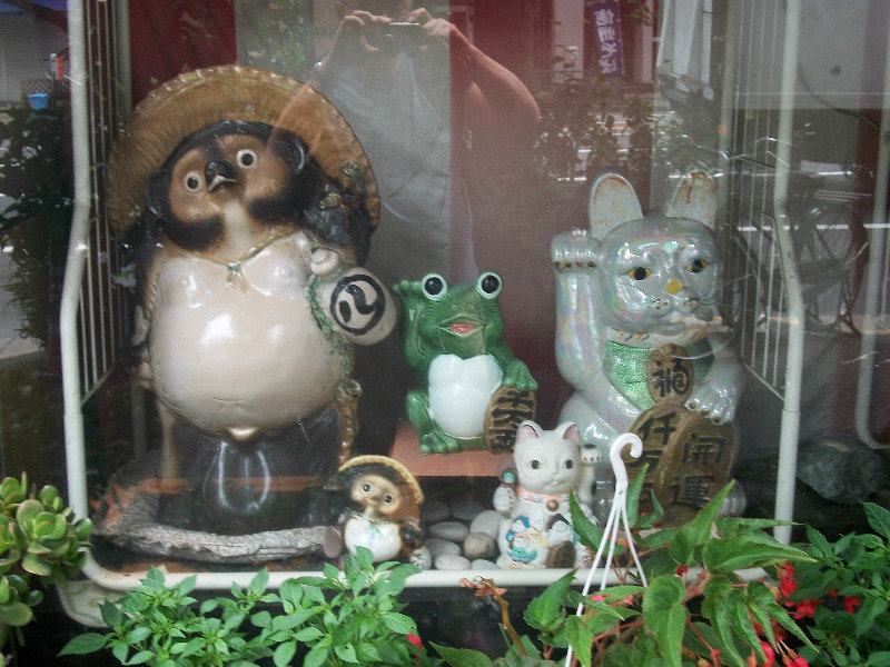 Tanuki, Nekocat and Frog