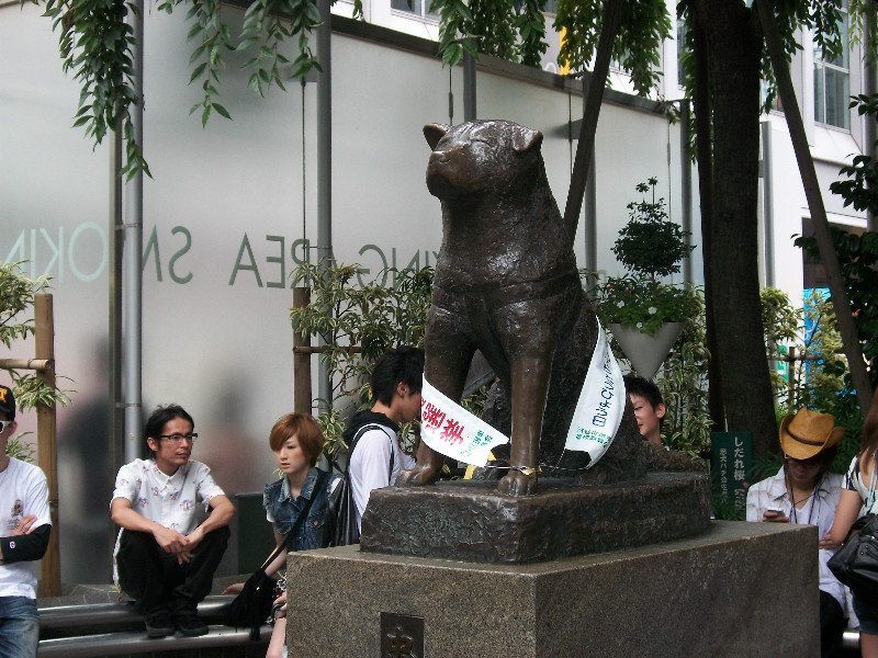 Sightseeing: Hachiko Statue, Shibuya