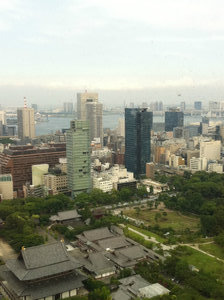 Tokyo Tower View