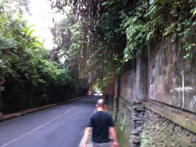 Day 1: Walking Into Ubud