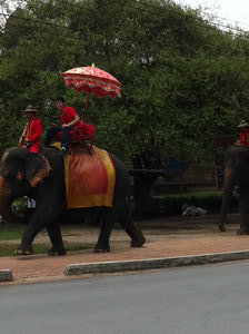 Elephant Riding Near Wat Phra Si Sanphet