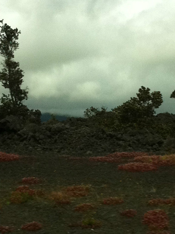 High lava desert