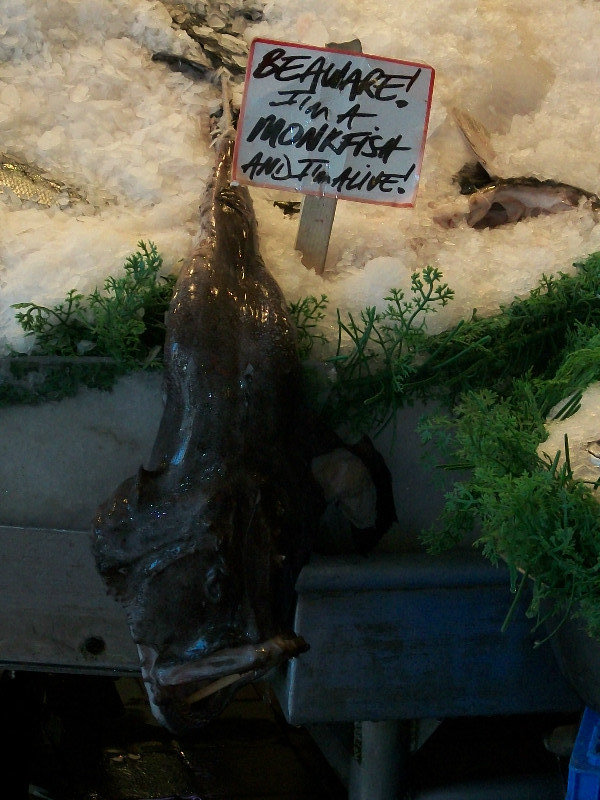 Scary monkfish.