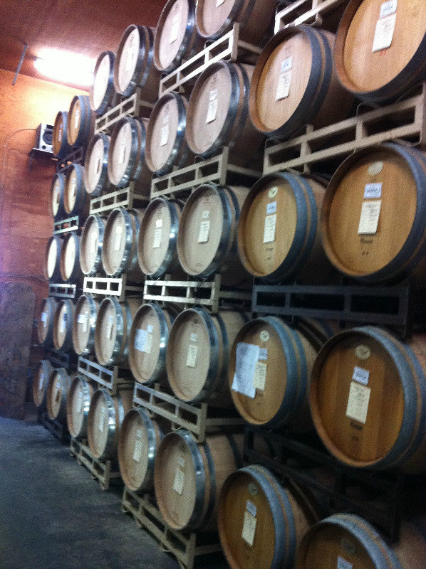 Wine Barrels, Unknown Winery #4
