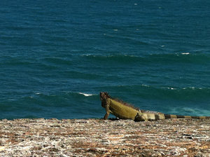 Fuerte del Morro