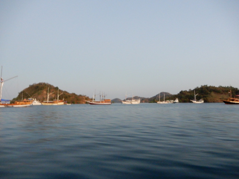 Labuanbajo Harbor