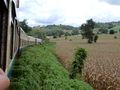 The Train To Mandalay 