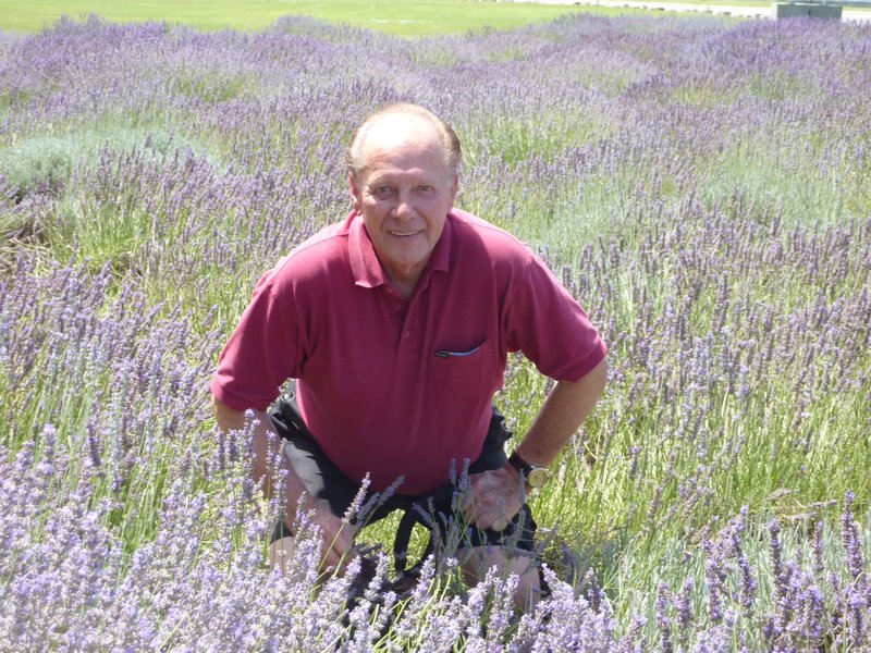 Jim in the lavendar