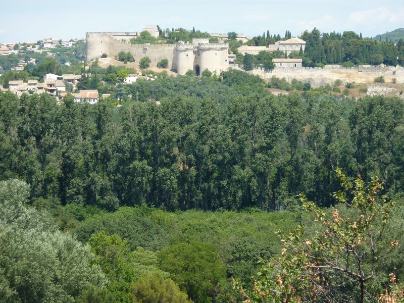 Castle in Avignon