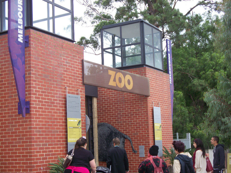 melbourne zoo 006