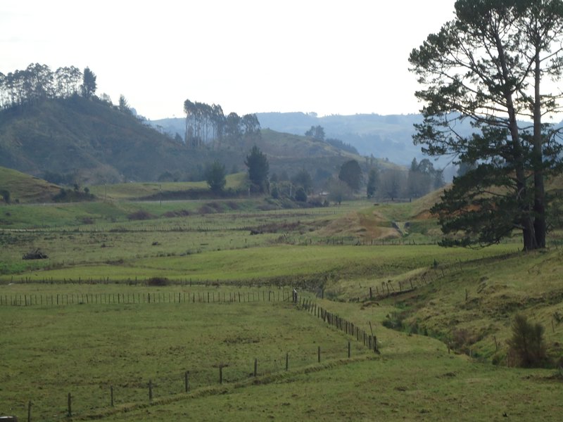 Waitomo landschap