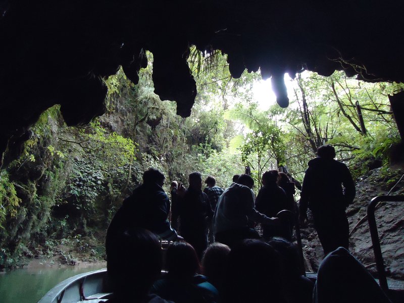 Buiten glowworm caves (met de boot)