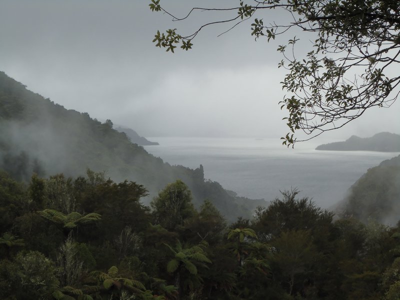Mooi uitzicht op Lake Rotorua