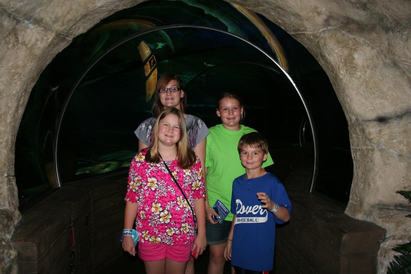 Going into the tunnel at Sea Life