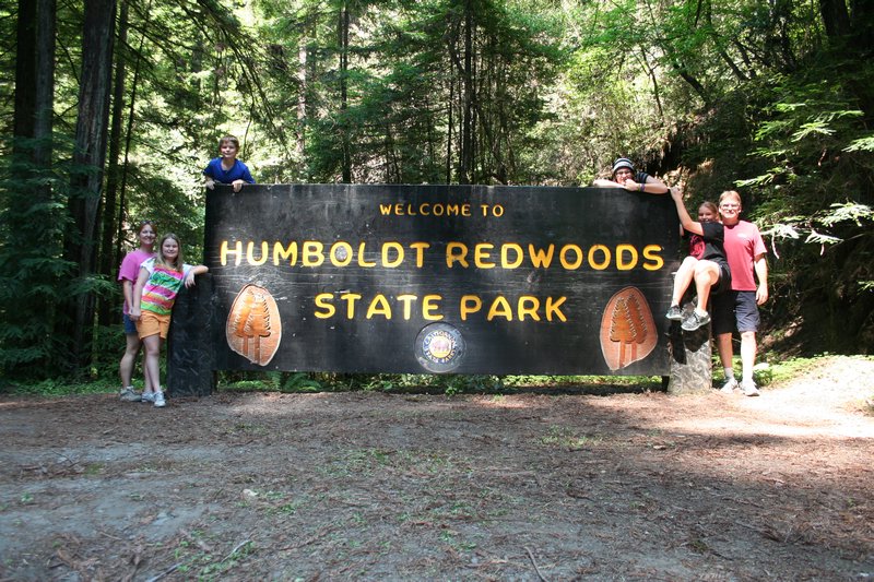 Humboldt Redwoods