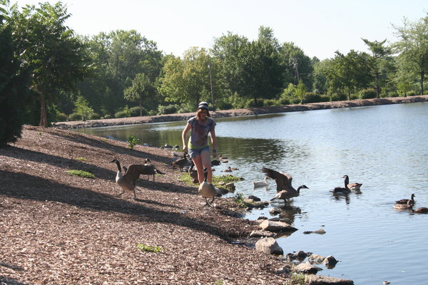 Alix chasing the geese