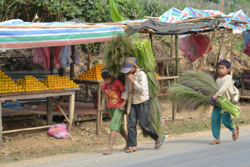 Roadside Laos