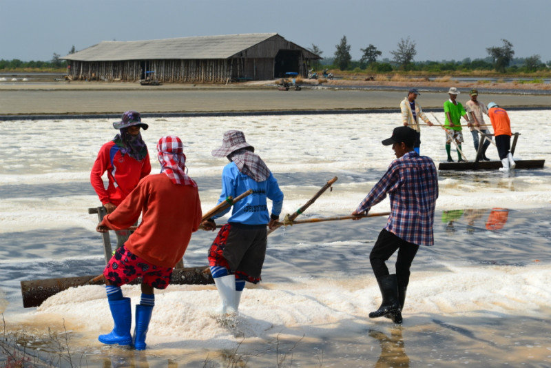 Thailand Salt Harvesting