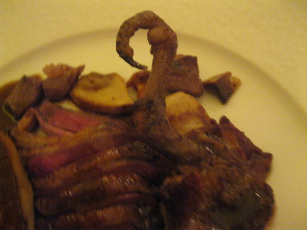 Pigeon with claw attached plate