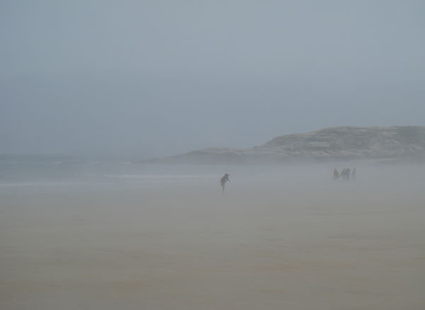 To Fox Island, through the fog, on the sand bar!