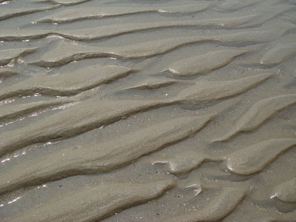 Beautiful patterns in the sand