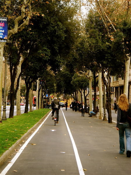 One of the many pedestrian pathways in Barcelona