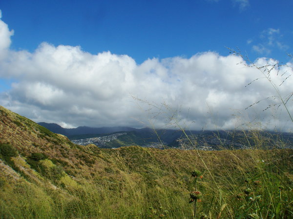 Hawaiian countryside
