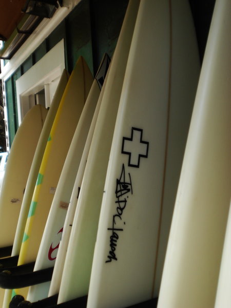 Surfboards lined up