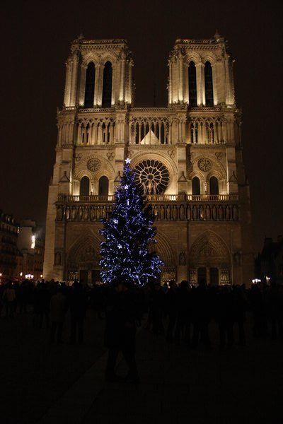 Notre Dame at midnight