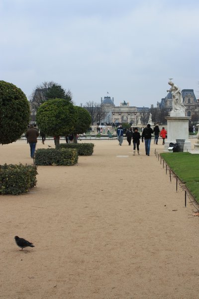  Jardin Tuileries