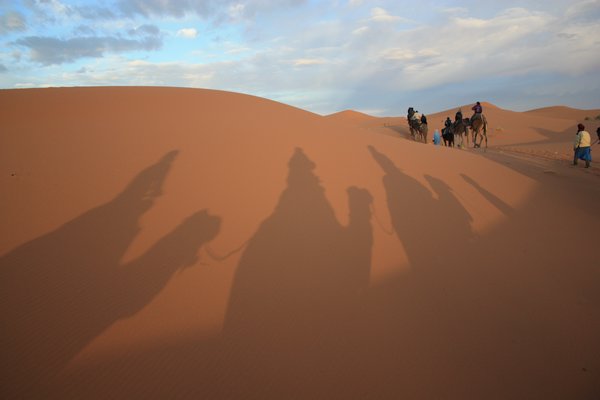 Shadows in the desert