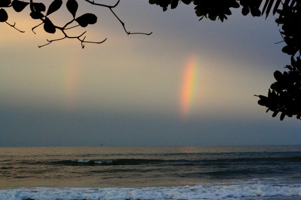 Double tropical rainbow, oh my!