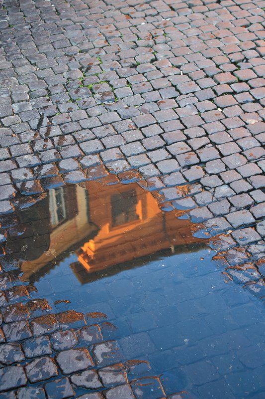 Reflection in the cobblestone