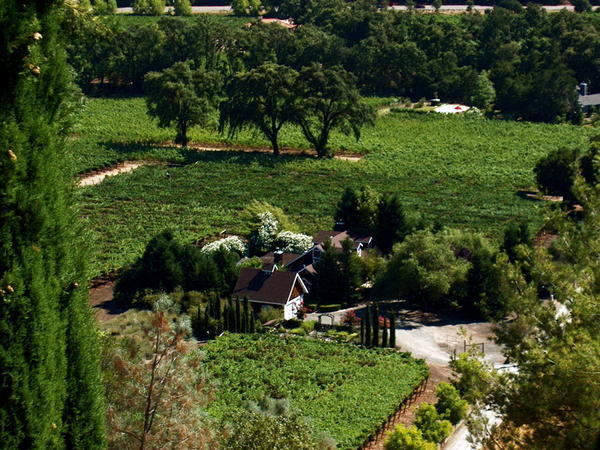 Sterling vineyards 